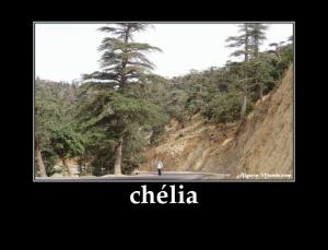 جبل شليا الناحية الجنوبية التابع لبلدية بوحمامة