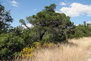 منظر من جبل خالد يابوس