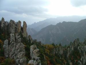 شجرة الارز بجبل شليا يابوس