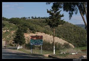 Bienvenue dans la commune verdoyante de Nedroma