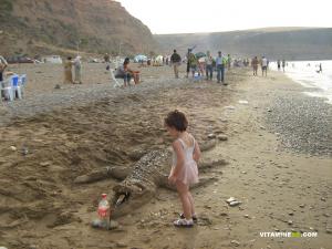 Découverte d'un crocodile à la plage du Sel