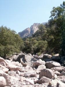 غابات يابوس الجميلة