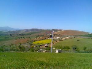 ferd el dhabab/gouta3 la biedh