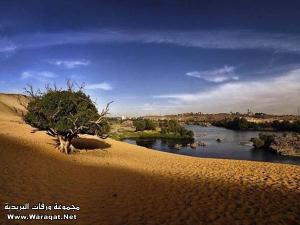 جمال الطبيعة