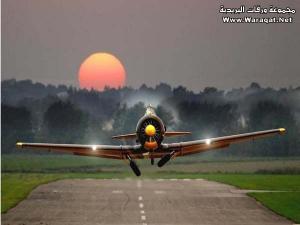 ورقة بريدية