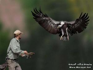 طبيعة خلابة