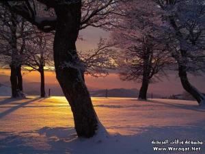 طبيعة خلابة