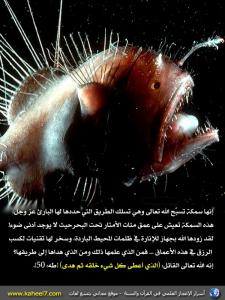 صورة وآية: سمكة الأعماق