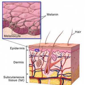 اكتشاف أسرار الشيب: هل تحدث القرآن عن ذلك؟
