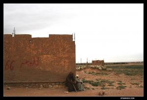 Pasteurs à Kef Lahmar