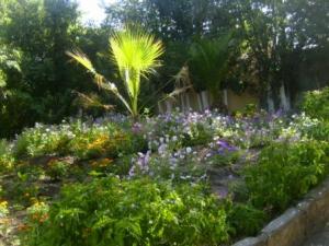 Sétif : jardins publics et espaces verts