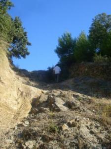 Paysage verdoyant de Lemroudj