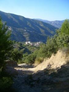 Paysage verdoyant de Lemroudj