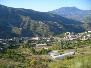 Paysage verdoyant de Lemroudj (28 juin 2010)