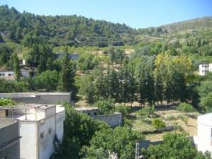 Paysage verdoyant de Lemroudj (28 juin 2010)