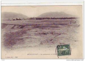 BENI-OUNIF_Palmeraie