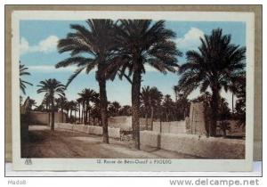 cpa Béni Ounif Algérie - Route de Béni Ounif à Figuig -
