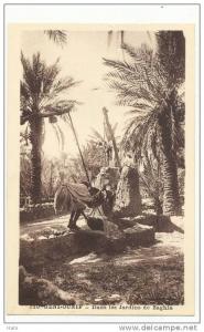BENI-OUNIF - Dans les Jardins de Zaghla