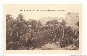 BENI-OUNIF - Un coin de la Palmeraie et du Ksar
