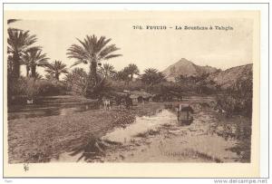 BENI-OUNIF - FIGUIG - La Zousfana à Tahgia