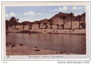 CPA - BENI-OUNIF - La Palmeraie - Coul - 1943 ! -