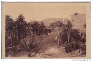 4, BENI-OUNIF, Un Coin de la Palmeraie et du Ksar