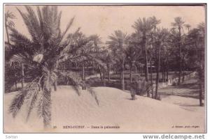 BENI OUNIF , Dans la palmeraie , édition GEISER