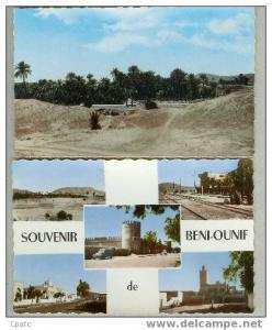 CPSM DENTELEE FORMAT CPA BENI-OUNIF  MULTIVUES ET PALMERAIE DANS LE KSAR