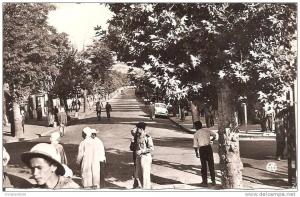 BERROUAGHIA (ALGERIE) La Rue d´Alger en 1961 (Belle animation)   CPSM