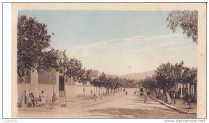 BERROUAGHIA / LE MARCHE ET L AVENUE DE LA GARE