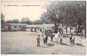 Berrouaghia - Le Pénitencier, La Ferme (taureau, chevaux)