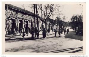 §§ BERROUAGHIA  rue principale.... §§