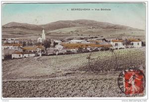Algérie  Berrouaghia Vue générale