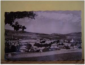 BERROUAGHIA (ALGERIE) VUE GENERALE.  N°1028