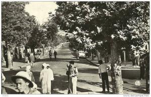 BERROUAGHIA N° 16  - LA RUE D'ALGER