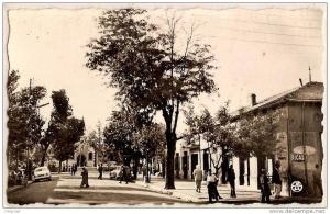 ALGERIE BERROUAGHIA Rue d'Alger Pub Ricard