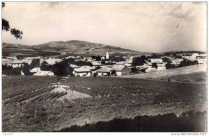 ALGERIE - BERROUAGHIA - Vue Générale