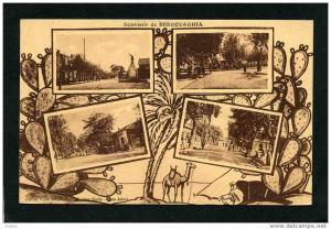 ALGERIE - BERROUAGHIA - SOUVENIR 4 VUES -