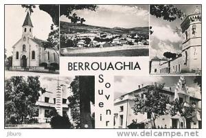 Algérie  /  BERROUAGHIA  /  CPSM dentelée petit format en bon état  // CP 1/743