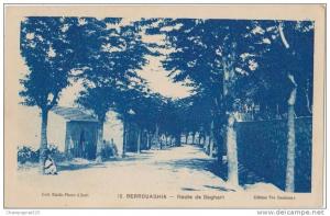 CPA ALGERIE BERROUAGHIA Route de Boghari