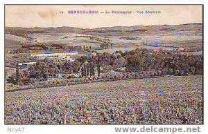 (  Algérie ) BERROUAGHIA        le Pénitencier      1909    D.1217