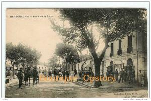 ALGERIE - BERROUAGHIA - Route de la Smala - Magasin de Denrées Coloniales - RARE - Dos Scané