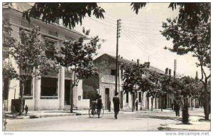 AFRIQUE. ALGERIE. BERROUAGHIA. La Rue d'Alger et La Poste. Carte Dentelée.