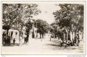 AFRIQUE. ALGERIE. BERROUAGHIA. Rue de Smala.