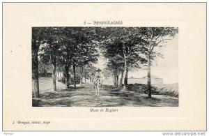 AFRIQUE. ALGERIE. BERROUAGHIA. Route de Boghari.