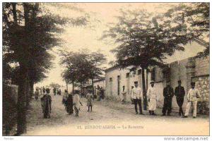 AFRIQUE. ALGERIE. BERROUAGHIA. La Remonte.