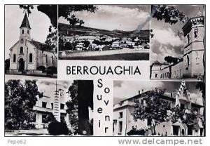 berrouaghia-souvenir de berrouaghia-cpsm