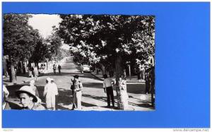 BERROUAGHIA    LA RUE D ALGER