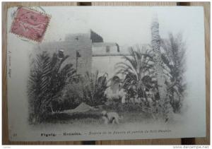 Figuig Kenadsa entrée de la Zaouïa et jardin de idi-Brahim