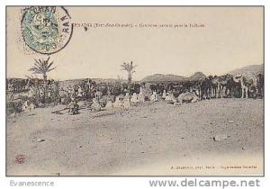 KENADSA  / CARAVANE PARTANT POUR LR TAFILALET  //  REF11602